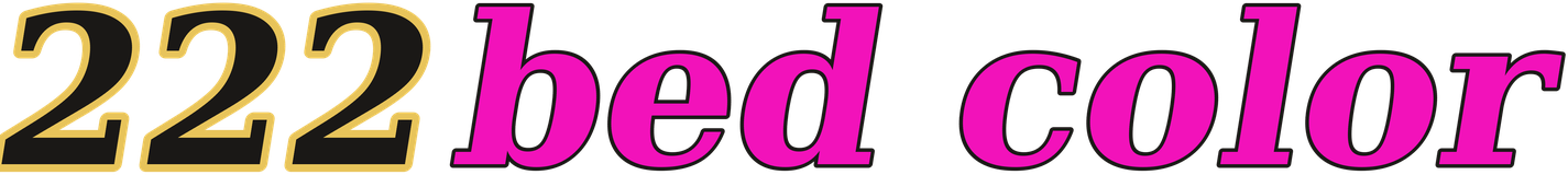 222bed color logo